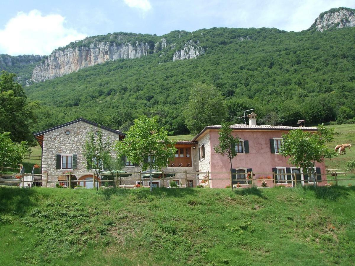 Agriturismo Lusani 卡普里诺韦罗内塞 外观 照片