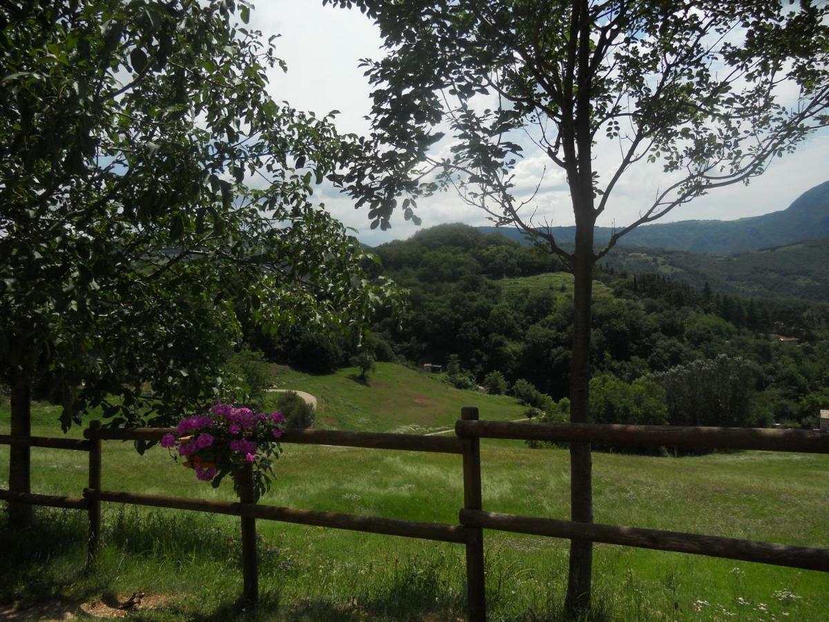 Agriturismo Lusani 卡普里诺韦罗内塞 外观 照片