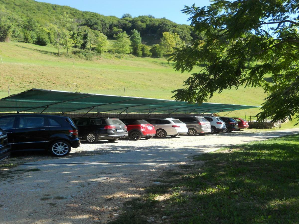 Agriturismo Lusani 卡普里诺韦罗内塞 外观 照片